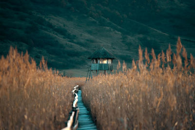 Pier over lake