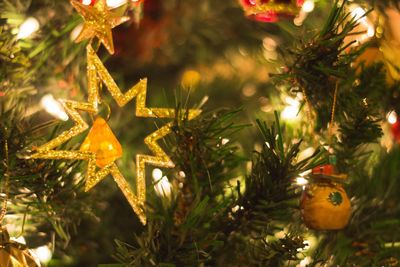 Close-up of christmas tree at night