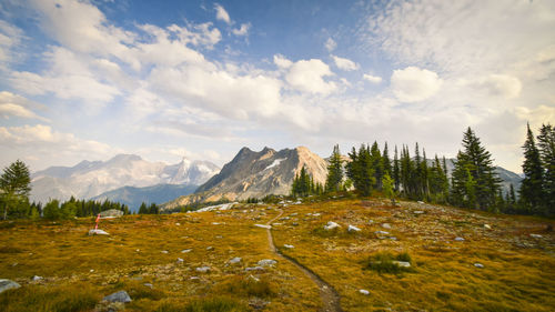 Jumbo pass purcell mountains in fall