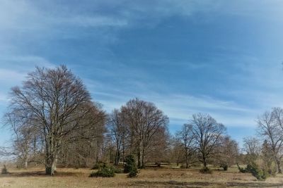 Bare trees on field against sky