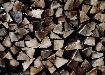 Full frame shot of logs in forest