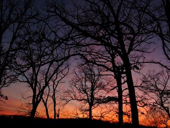 Silhouette trees against sky during sunset