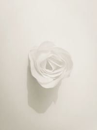 Close-up of over white background
