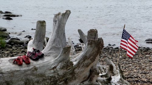 Footwear on driftwood by american flag at beach against sea