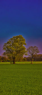 Trees on grass against sky at sunset