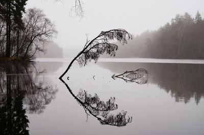 Scenic view of lake against sky during winter