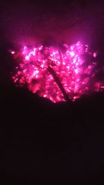 Low angle view of illuminated firework display