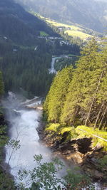 Scenic view of river flowing through forest