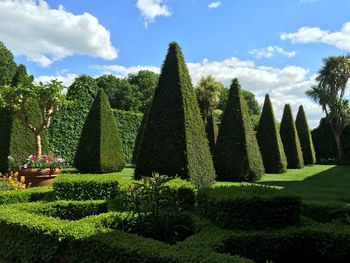 Panoramic view of trees and plants against sky