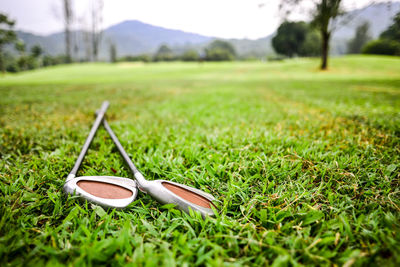 Surface level view of golf clubs on grass