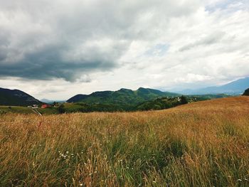 Scenic view of field against sky