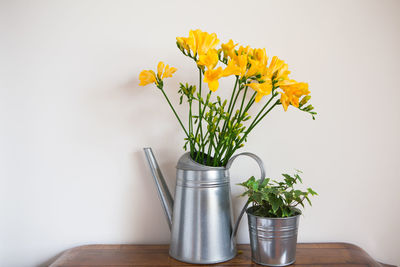 Potted plant on table