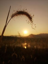 Scenic view of silhouette field against sky during sunset