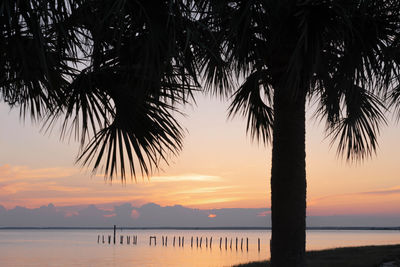 Silhouette palm trees by ocean against sky during sunset