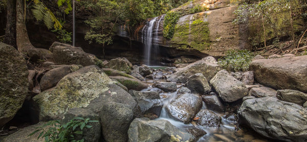 Low angle view waterfall in forest