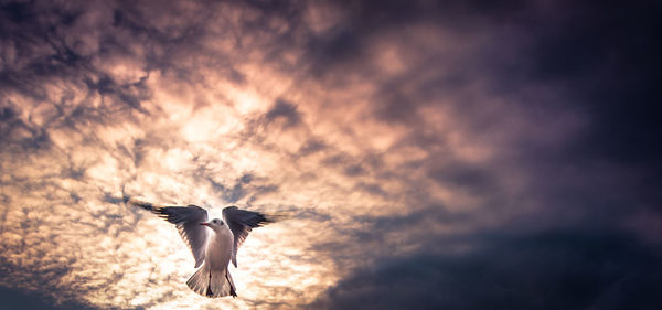 Full length of dramatic flying against cloudy sky