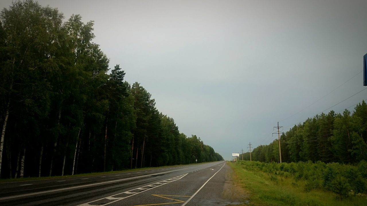 the way forward, transportation, diminishing perspective, tree, road, vanishing point, sky, country road, empty road, road marking, clear sky, tranquility, long, nature, empty, growth, tranquil scene, no people, outdoors, landscape