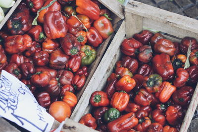 Close-up of tomatoes in market