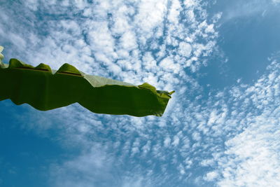 Low angle view of flag against blue sky