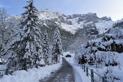 Snow covered trees against sky