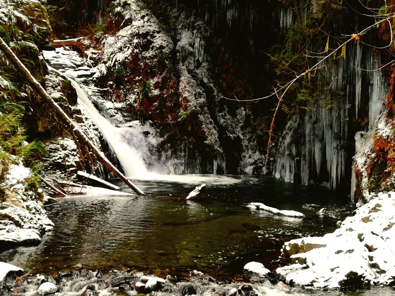 SCENIC VIEW OF RIVER FLOWING THROUGH FOREST