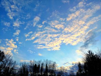 Low angle view of silhouette trees against sky