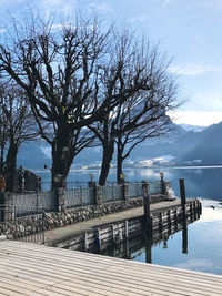 Bare tree by lake against sky in city