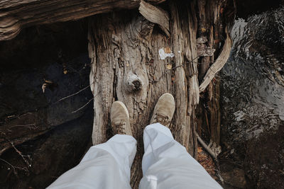 Low section of man standing on tree trunk