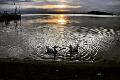 Scenic view of sea during sunset