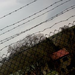 Close-up of chainlink fence