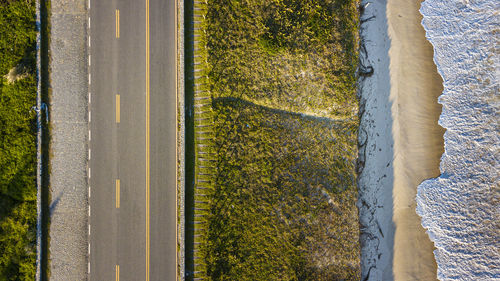 High angle view of road by trees