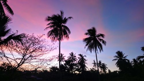 Silhouette palm trees against sky during sunset