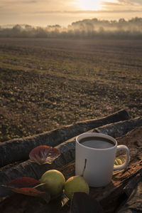 Close-up of fruits with coffee on field against sky during sunset