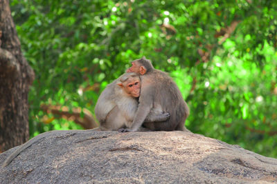 True love found in wild