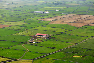 High angle view of agricultural field