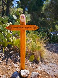 Information sign on tree trunk