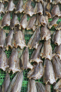 Full frame shot of fish for sale in market