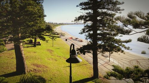 View of trees against sky