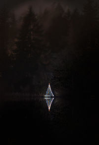 Illuminated traditional windmill in forest against sky at night