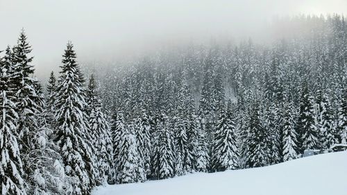 Scenic view of landscape during winter