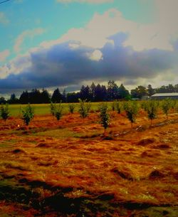 Scenic view of landscape against cloudy sky