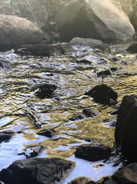 High angle view of rocks in lake