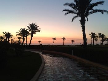 Silhouette of palm trees at sunset