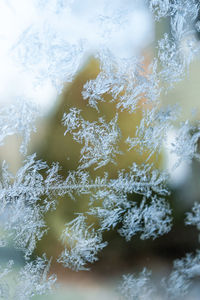 Full frame shot of frozen water