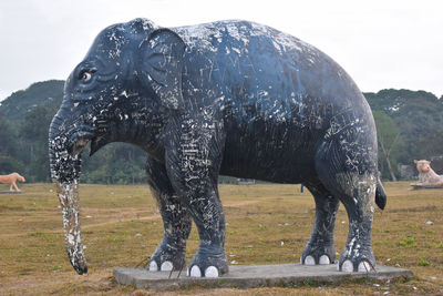 View of elephant on field against sky