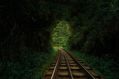 Railway track under mountain in forest