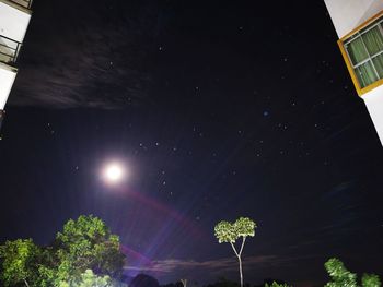 Low angle view of trees against sky at night