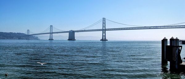 Seagull flying over san francisco bay with oakland bay bridge against sky