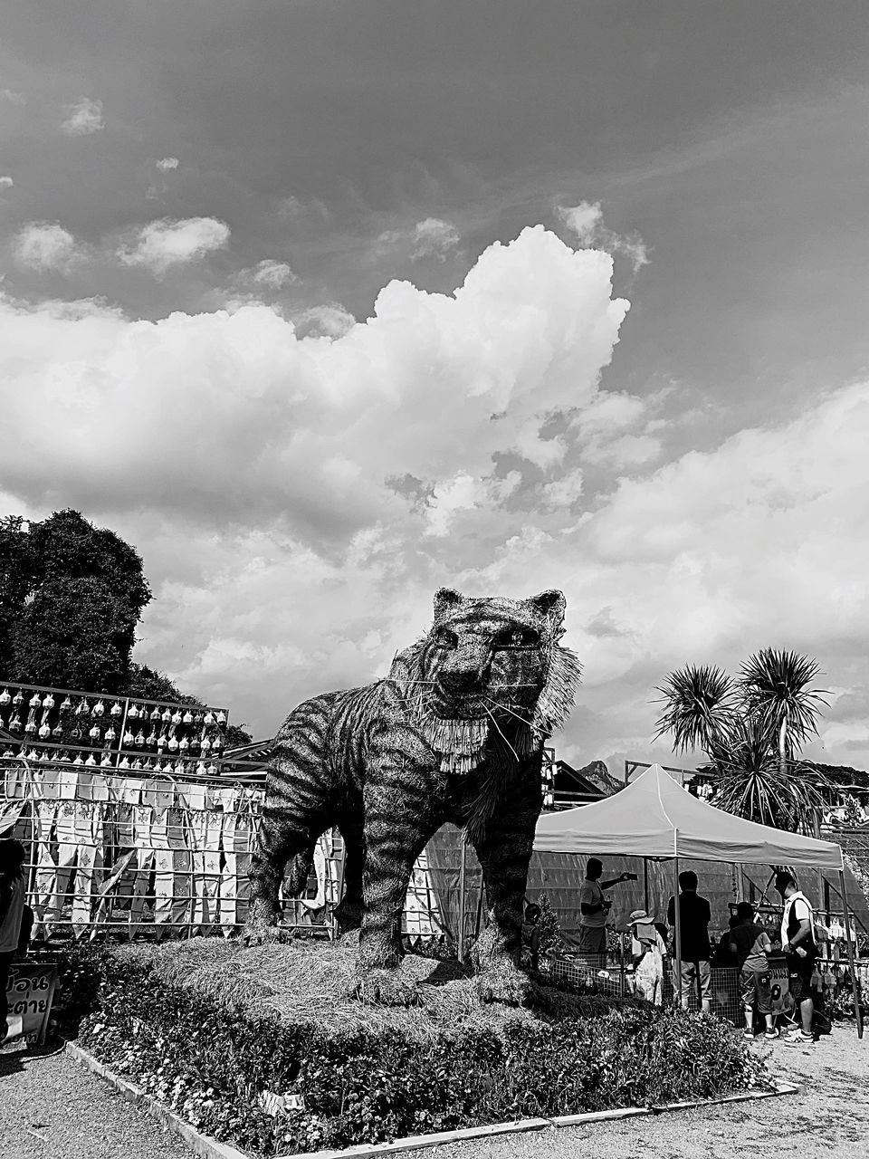 VIEW OF A CAT BY THE TREE AGAINST SKY