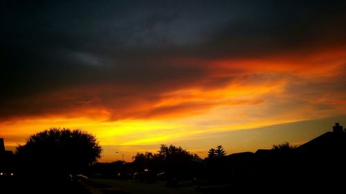 Silhouette of trees at sunset